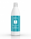 Tefia (Тефия) Шампунь для вьющихся волос с экстрактом  зеленого яблока (Shampoo for frizzy hair with green apple extract), 1000 мл