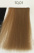 Loreal INOA 10.01
