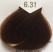 B.Life Color 6.31