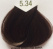 B.Life Color 5.34