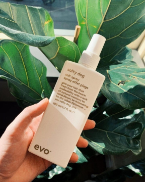  Evo Текстурирующий спрей [пляжон(ка)] Salty Dog Salt Spray, 200 мл