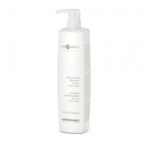 Hair Company (Хаир Компани) Моющая основа (Double Action | Cleansing base treatment), 1000 мл.