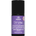 CLASSIC STARS PURPLE HAZE
