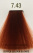 B.Life Color 7.43
