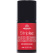 507 Rococo Red