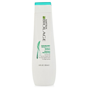 Matrix (Матрикс) Мятный освежающий шампунь Скалпсинк (Biolage Scalpsync Cooling Mint), 250 мл.