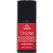 508 Red Paradise